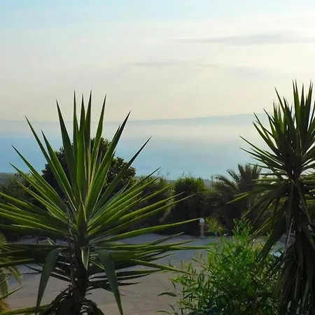 Garden Overlooking The Sea Near The Beaches *