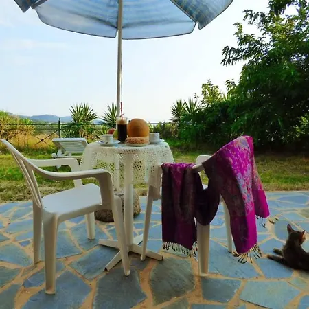 Garden Overlooking The Sea Near The Beaches *