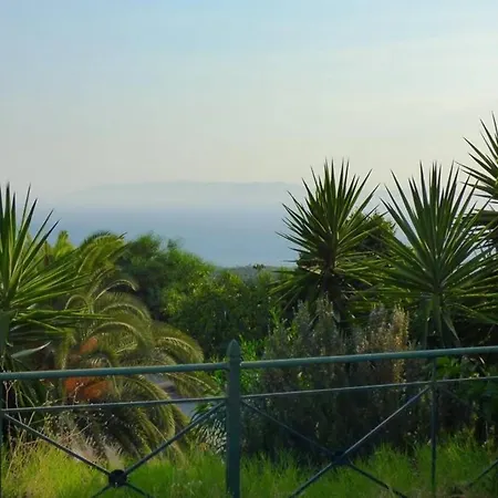 Garden Overlooking The Sea Near The Beaches
